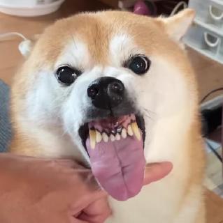 Imagem do grupo Amizades do pão