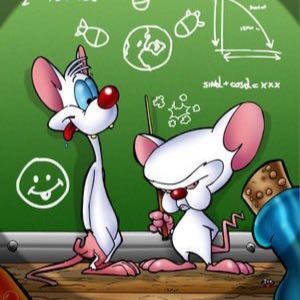 Imagem do grupo Ø ΜỮŇĐØ É ŇØŞŞØ