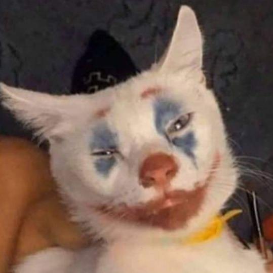 Imagem do grupo ༒𝖟𝖚𝖊𝖎𝖗𝖆 𝖘𝖊𝖒 𝖑𝖎𝖒𝖎𝖙𝖗𝖊𝖘༒😂